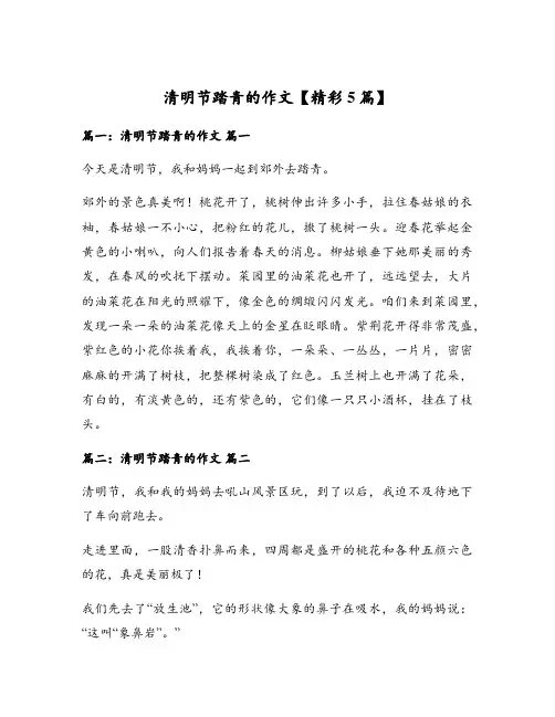 清明节踏青的作文【精彩5篇】