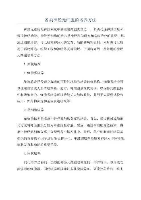 各类神经元细胞的培养方法