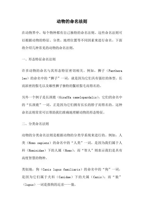 动物的命名法则