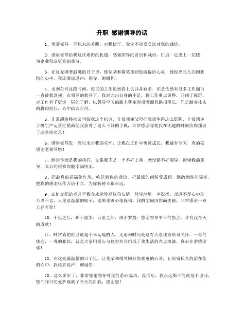 升职 感谢领导的话