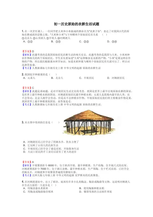 初一历史原始的农耕生活试题
