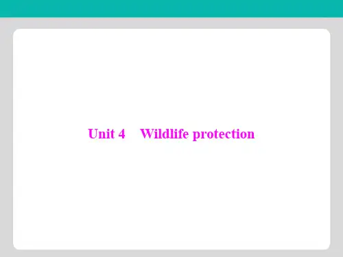 2020年高考英语一轮复习第一部分Unit4Wildlifeprotection课件必修2