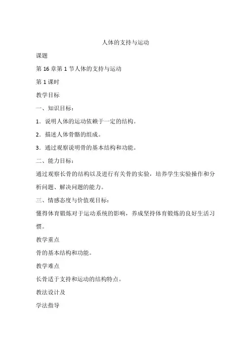 人体的支持与运动