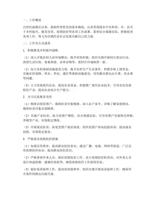 新任副镇长个人工作总结