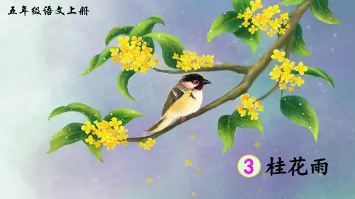 部编人教版五年级语文上册第3课《桂花雨》精品课件(共125张PPT)