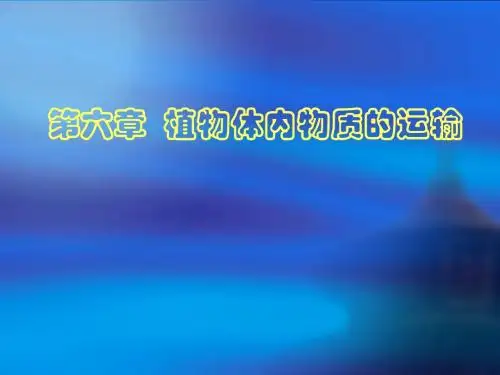有机物运输跟分配资料文档