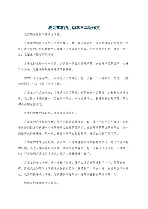 我最喜欢的月季花三年级作文