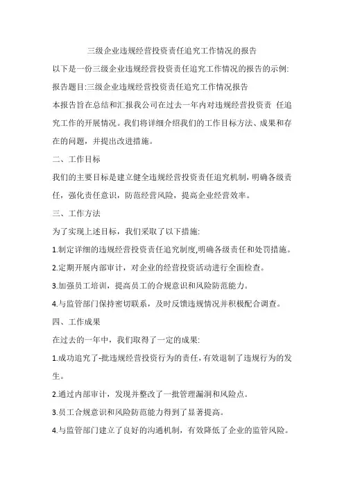 三级企业违规经营投资责任追究工作情况的报告