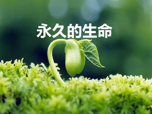 《散文二篇——永久的生命》ppt课件