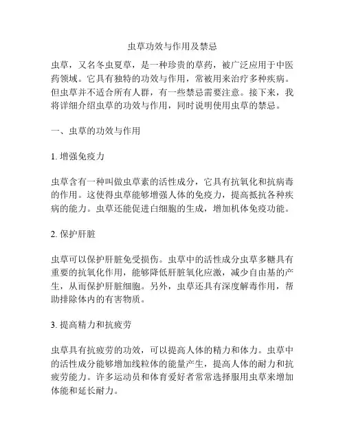 虫草功效与作用及禁忌
