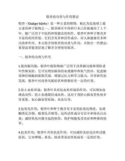 银杏的功效与作用禁忌