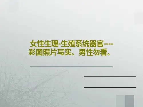 女性生理-生殖系统器官----彩图照片写实。男性勿看。共70页