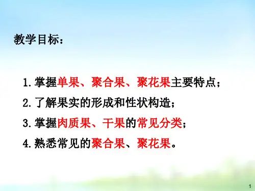 药用植物学课件 11果实