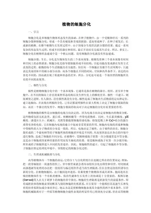植物的细胞分化