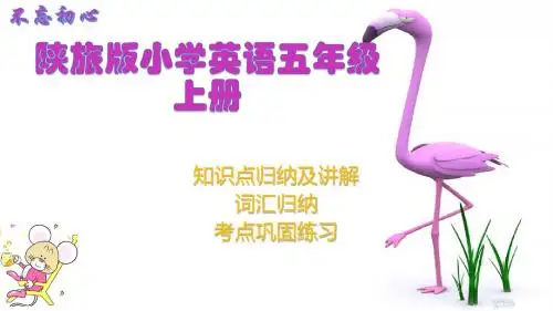 陕旅版小学五年级上册 Unit8 第四课时