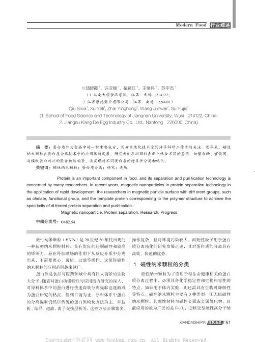 磁性纳米颗粒分离蛋白质的研究进展
