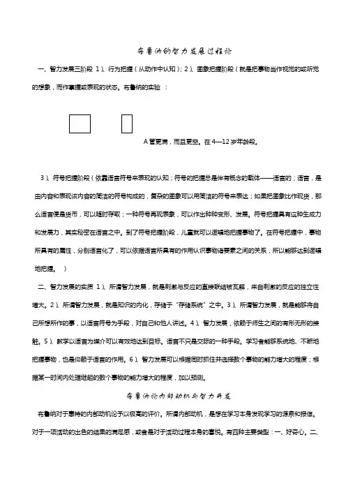 布鲁纳的智力发展过程论