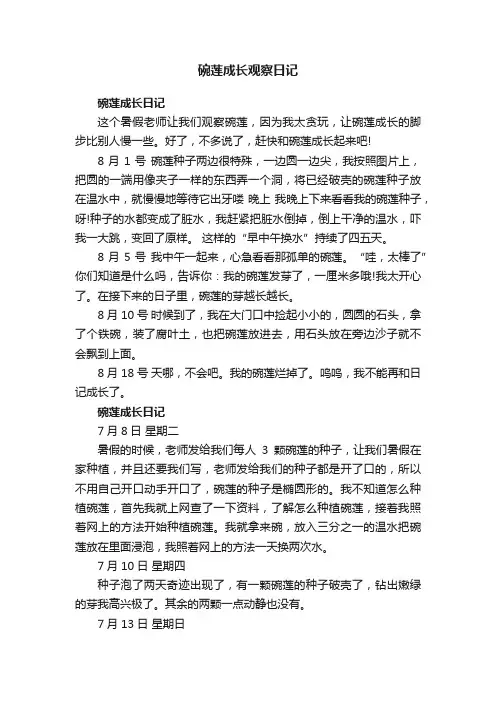 碗莲成长观察日记