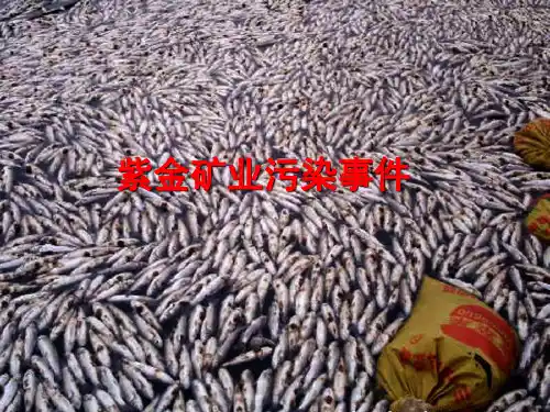 课程论文案例04-紫金矿业废水泄露污染事件讲解