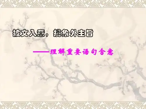 2014现代文复习之重点句子含意zuihou