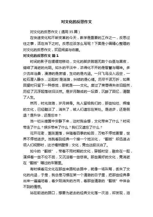 对文化的反思作文