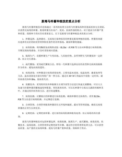 脱毒马铃薯种植技的重点分析