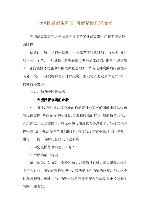 狗慢性肾衰竭阶段-可能是慢性肾衰竭
