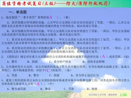 消防行政处罚(ppt43张)