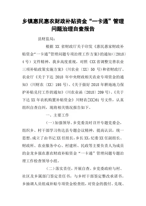 乡镇惠民惠农财政补贴资金“一卡通”管理问题治理自查报告