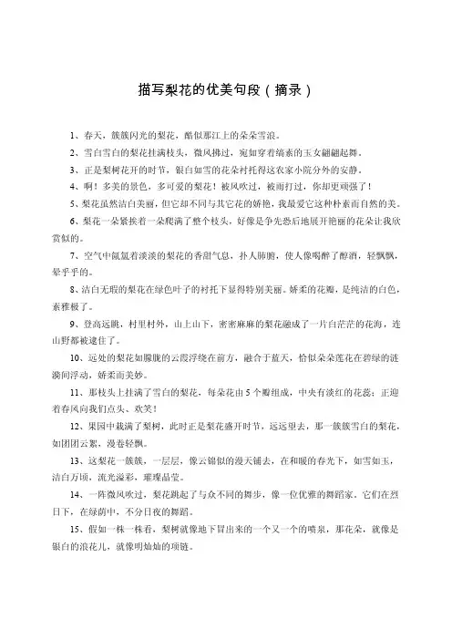 描写梨花的优美句段（摘录）