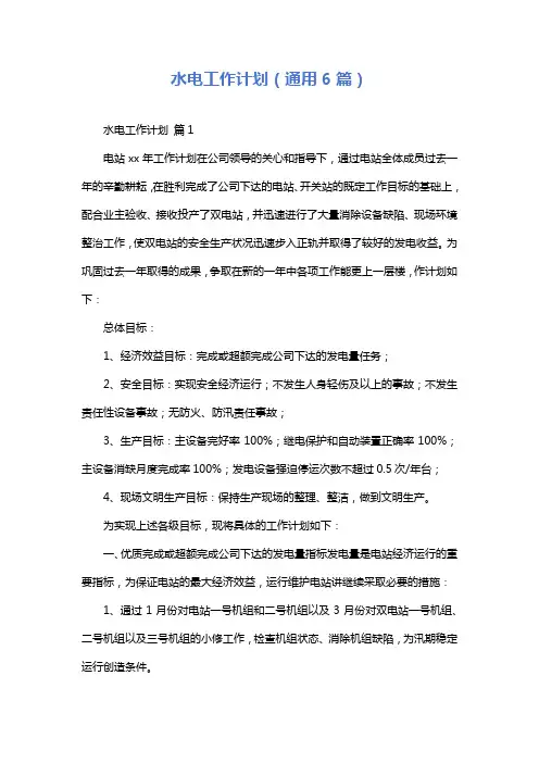水电工作计划(通用6篇)