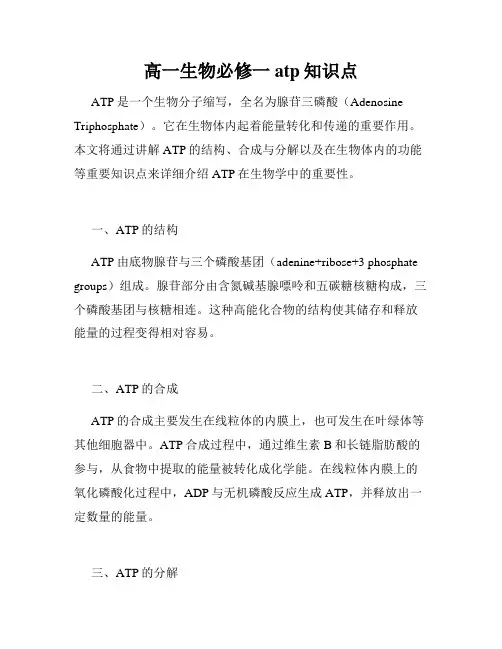 高一生物必修一atp知识点