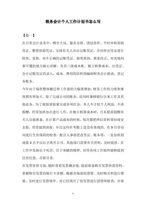 2020年税务会计个人工作计划书怎么写