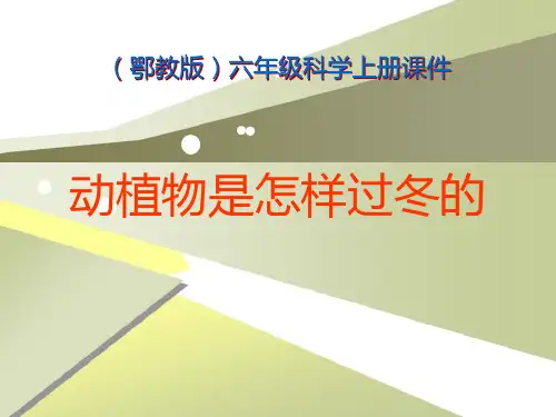 《动植物是怎样过冬的》四季中的变化PPT精选优质教学课件3