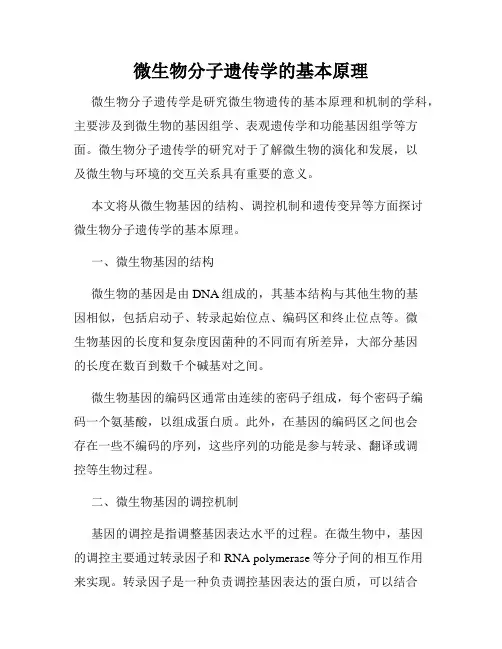 微生物分子遗传学的基本原理