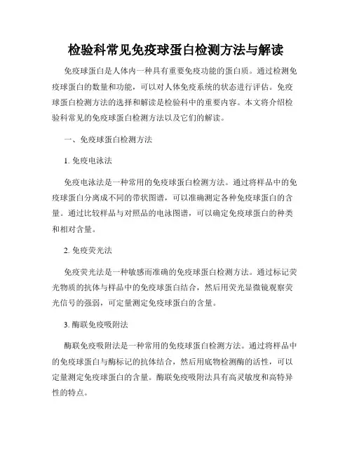 检验科常见免疫球蛋白检测方法与解读