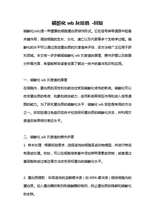 磷酸化wb灰度值 -回复