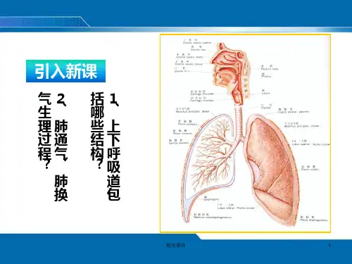 咳嗽与咳痰专业教育