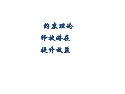 约束理论和案例