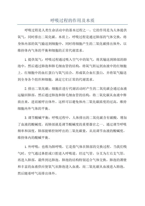 呼吸过程的作用及本质