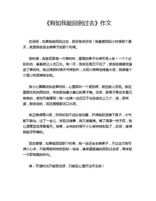 《假如我能回到过去》作文