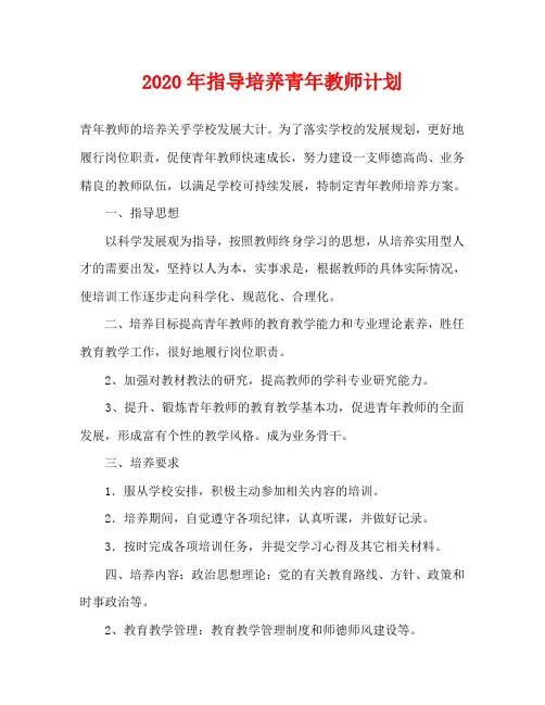 2020年指导培养青年教师计划