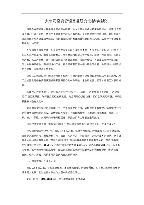 大公司投资管理基准研究之杉杉控股