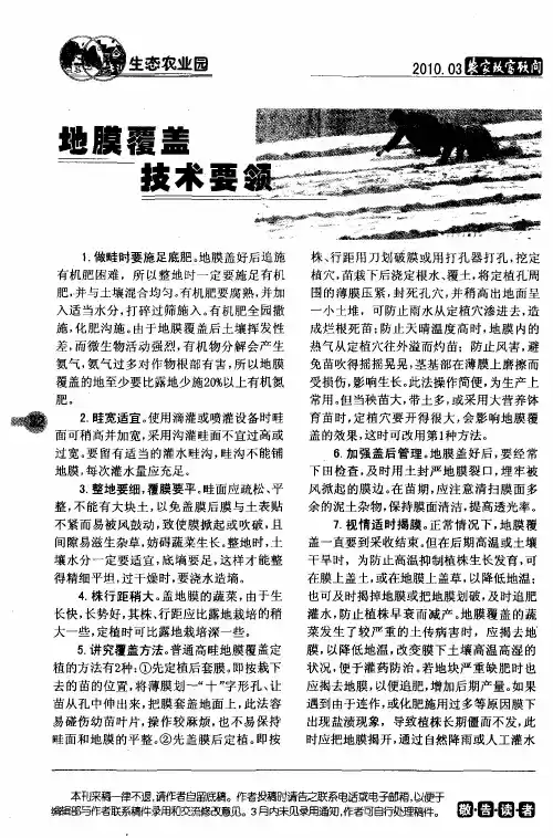 地膜覆盖技术要领