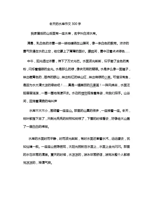 冬天的水库作文300字