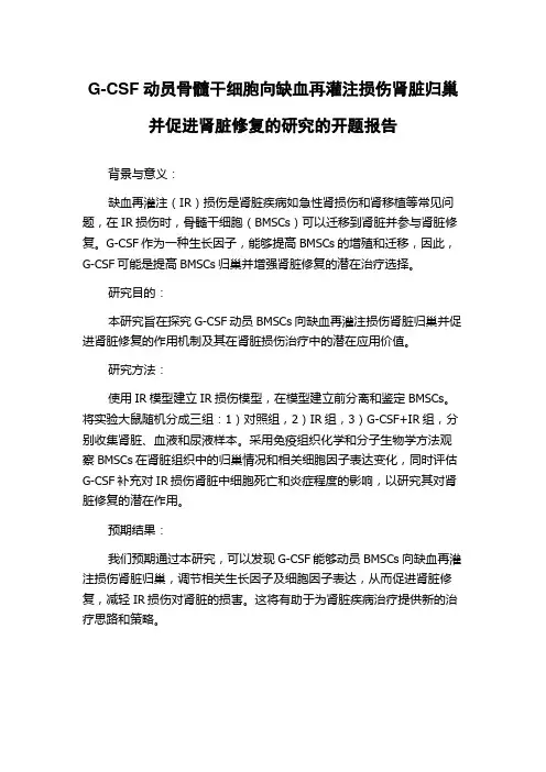 G-CSF动员骨髓干细胞向缺血再灌注损伤肾脏归巢并促进肾脏修复的研究的开题报告