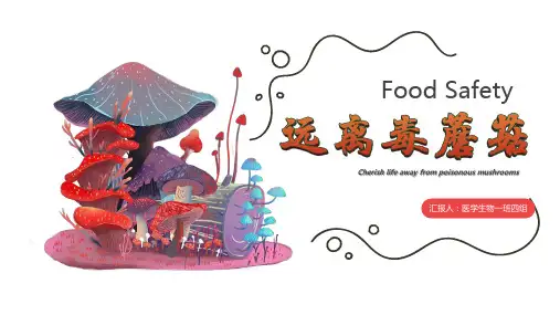 毒蘑菇科普PPT课件