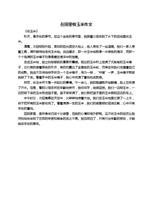 在田里收玉米作文