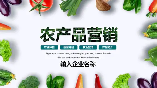 天然有机蔬菜瓜果农产品营销 适用于农业种植 蔬菜介绍 农业宣传 产品介绍 简约PPT模板