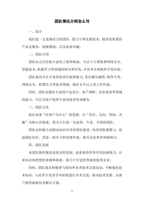 团队情况介绍怎么写